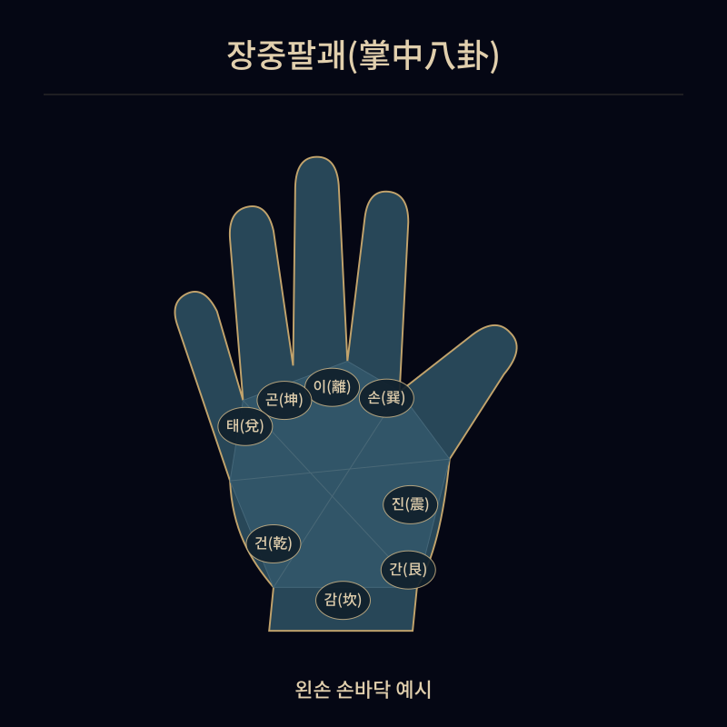 장중팔괘(掌中八卦)