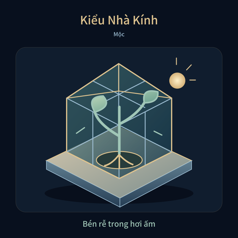 Kiểu Nhà Kính — Bén rễ trong hơi ấm