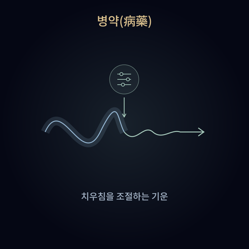 병약(病藥)