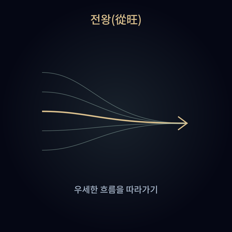 전왕(從旺)