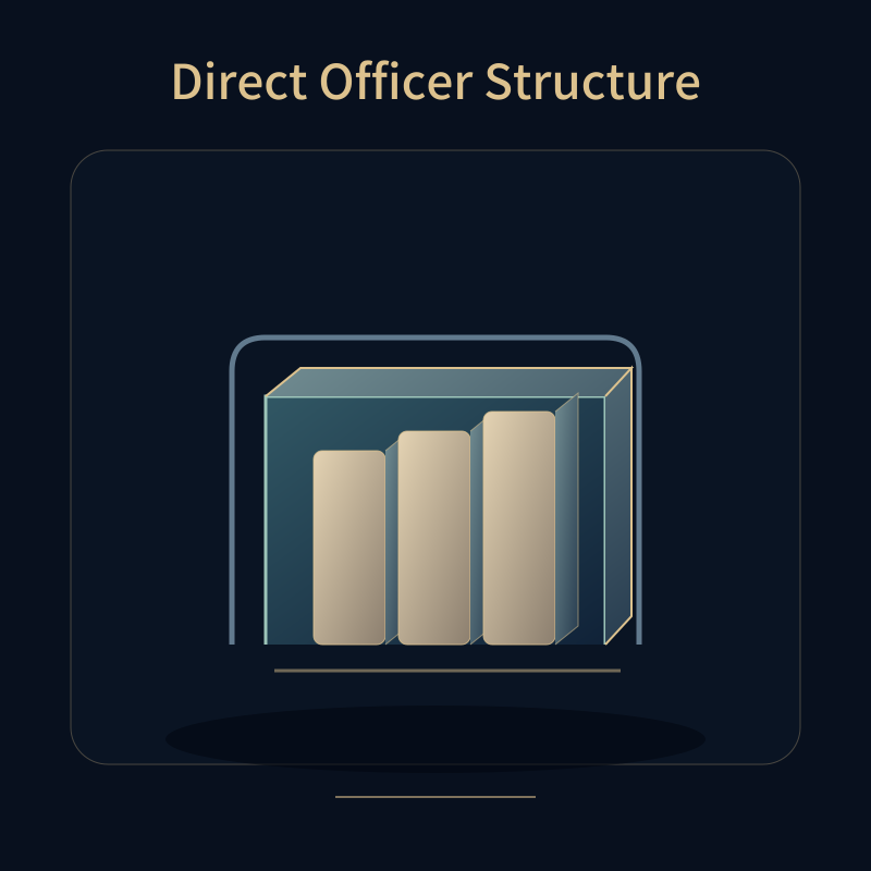 Direct Officer Structure