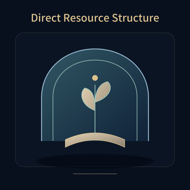 Direct Resource Structure