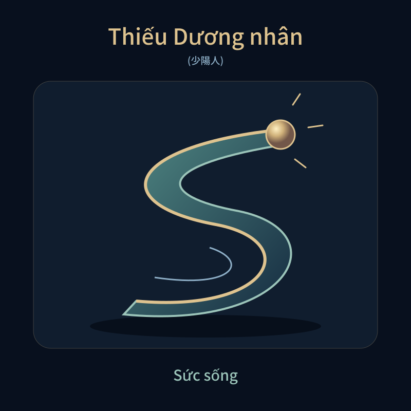 Thiếu Dương nhân