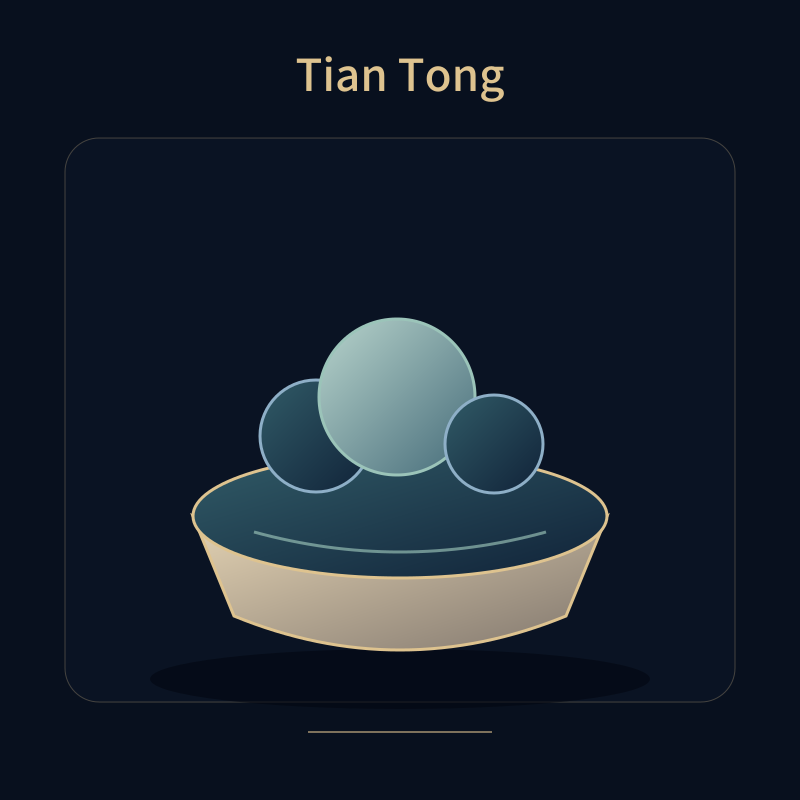 Tian Tong